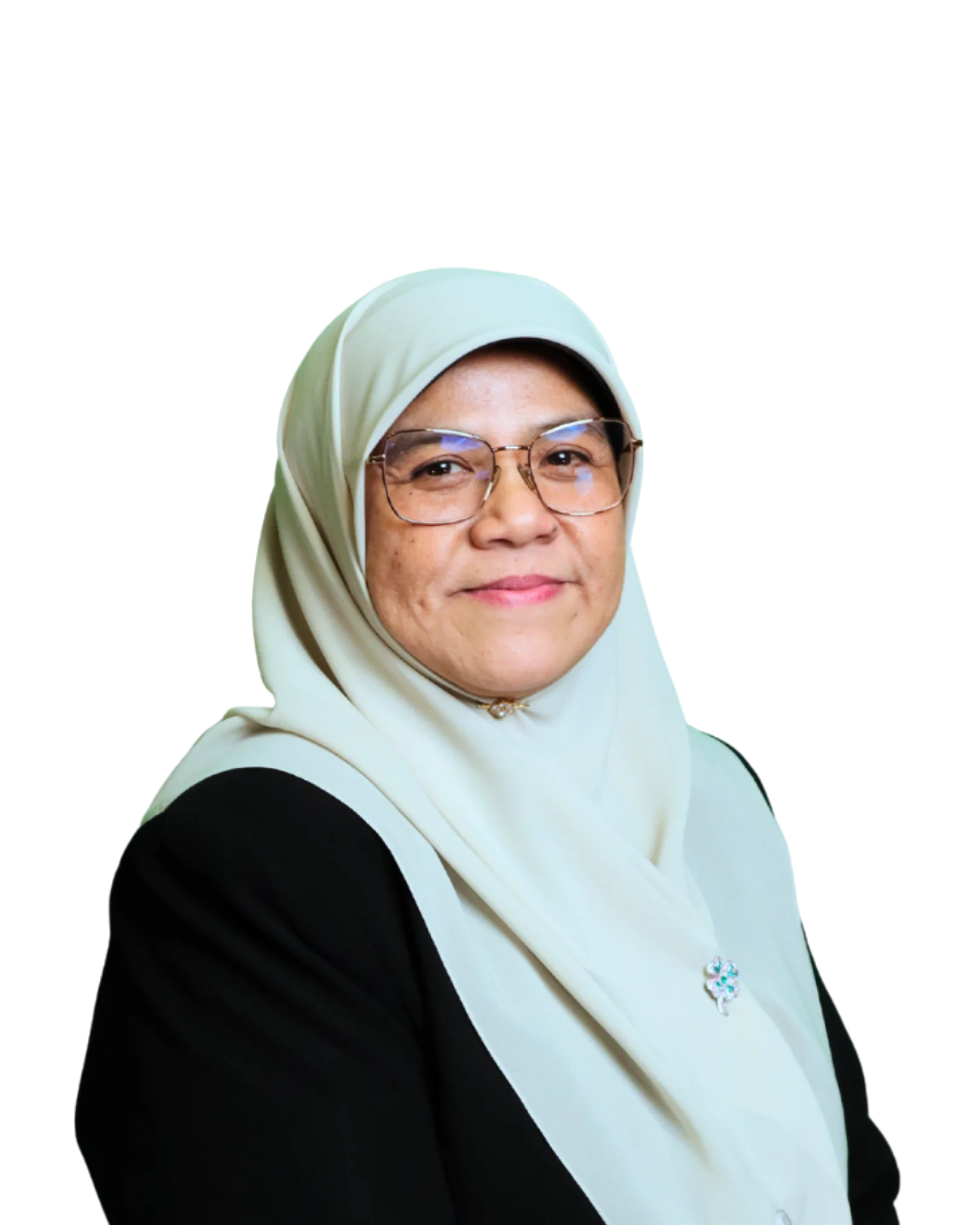 Yang Mulia Hajah Badariah Binti Haji Yahya, SFSB Members