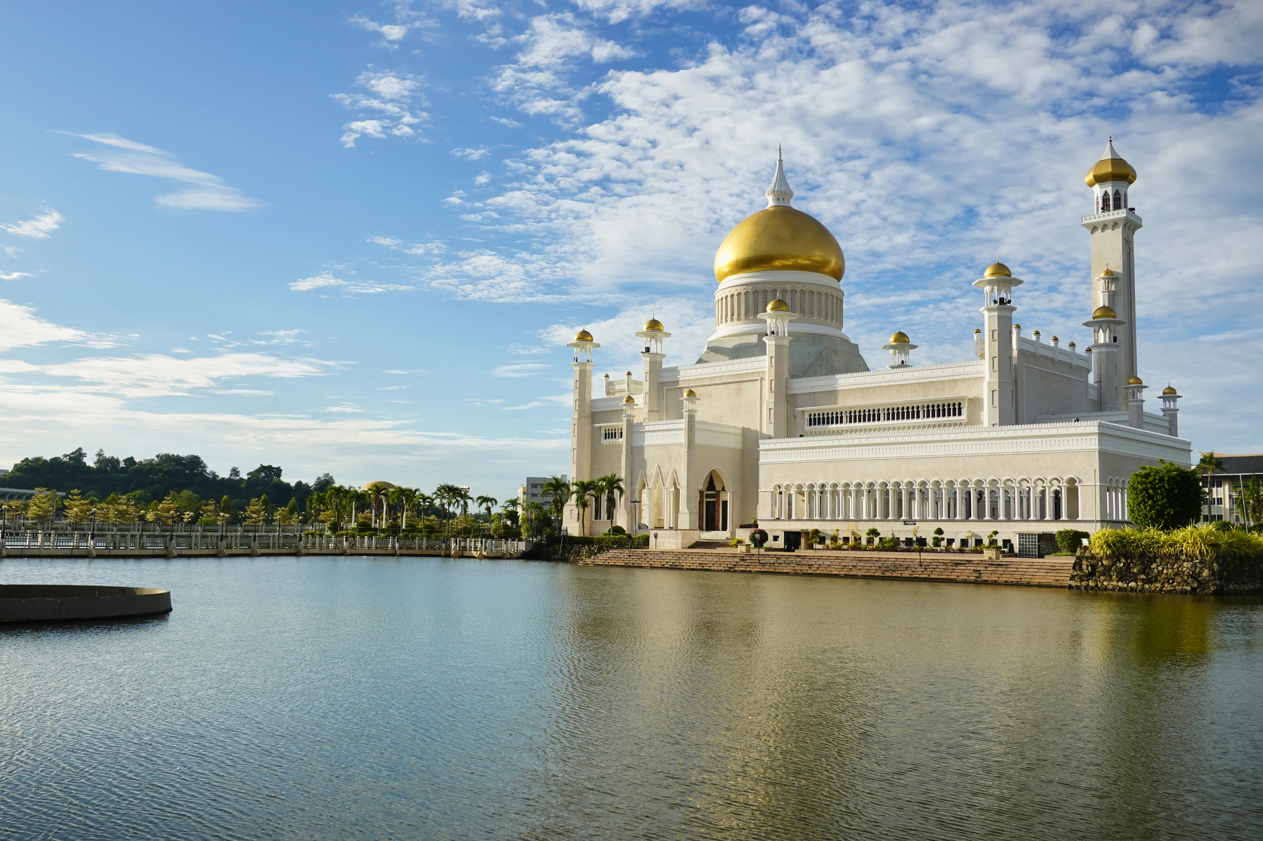 Unedited Homepage Banner