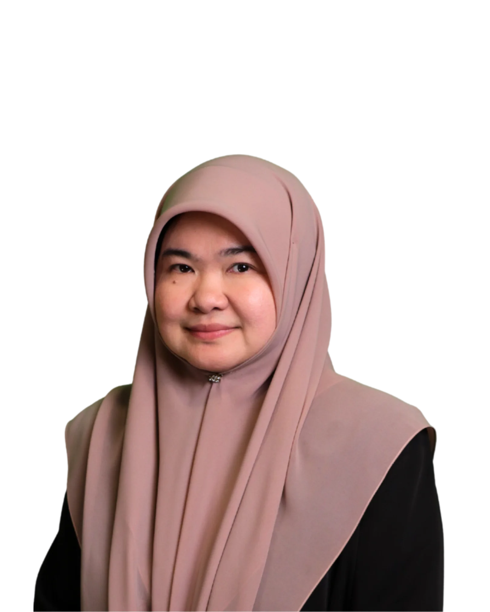 Yang Mulia Dayang Hajah Noraini Binti Haji Buntar, Chairperson SAB BIBD